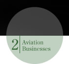Aviation Businesses