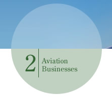 Aviation Businesses