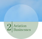 Aviation Businesses